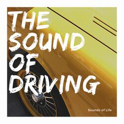 Drive 3