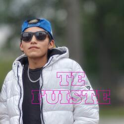 Te Fuiste