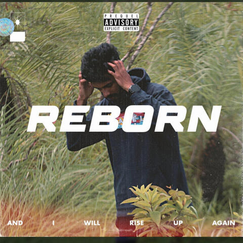 Reborn