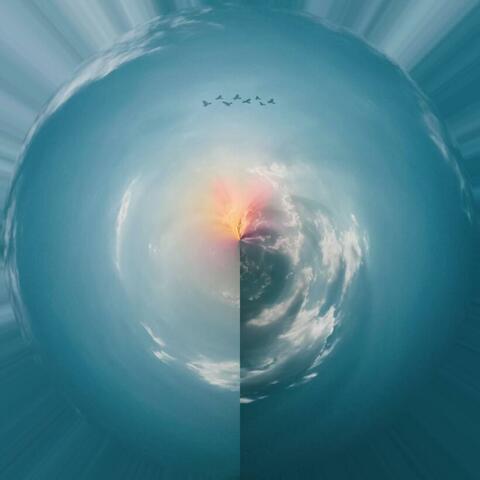 Birds in the Morning Sky