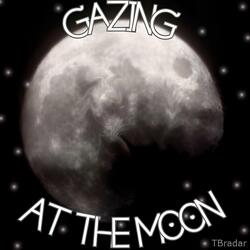 Gazing At The Moon