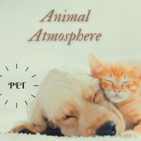 Animal Atmosphere