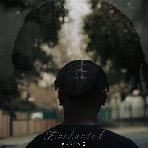 Enchanted