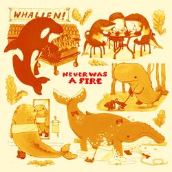 Never Was A Fire