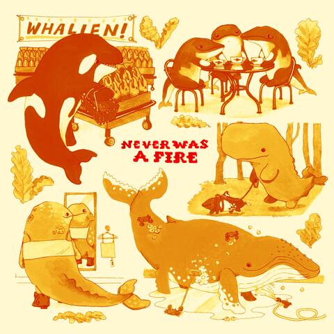 Never Was A Fire