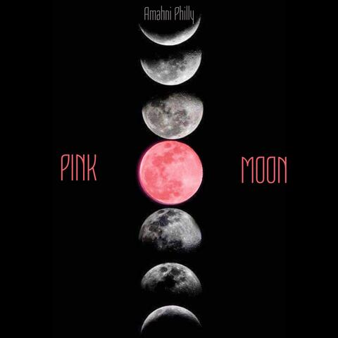 Pink Moon