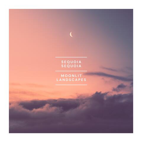 Moonlit Landscapes