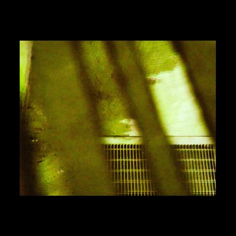 Cages, Crosses, Saviors