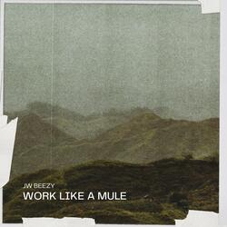 Work Like A Mule