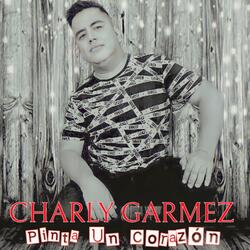 Pinta Un Corazón