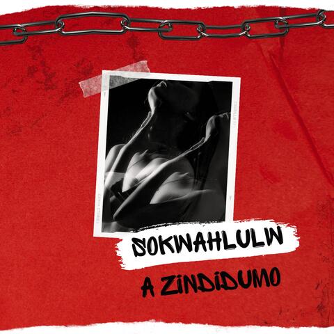 Sokwahlulwa Zindudumo