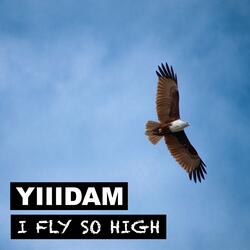 I Fly So High