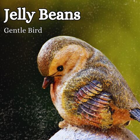 Gentle Bird