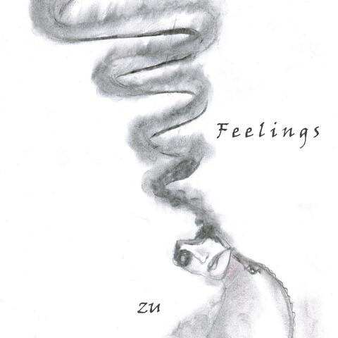 Feelings