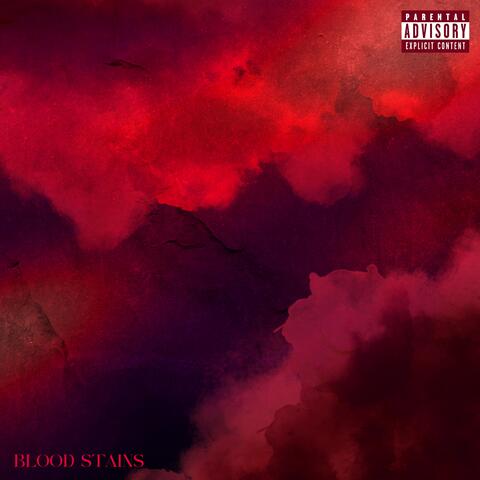 BLOOD STAINS
