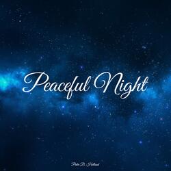 Peaceful Night
