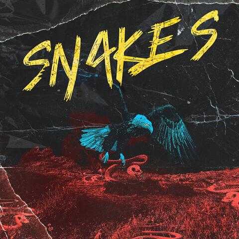 Snakes