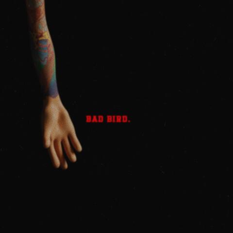 Bad Bird