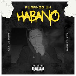 FUMANDO UN HABANO