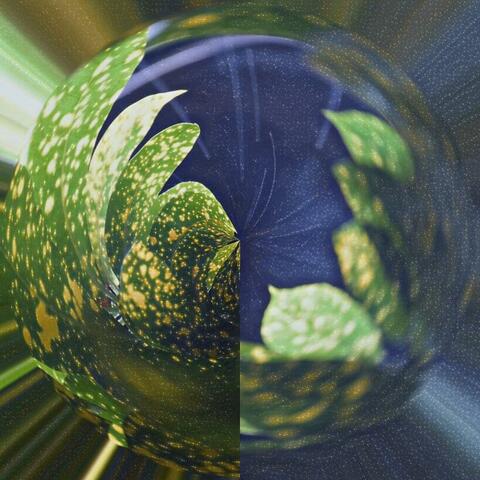 Nature at Night : One Hour of Rain for Sleep