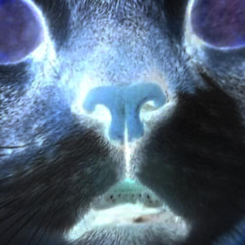 II