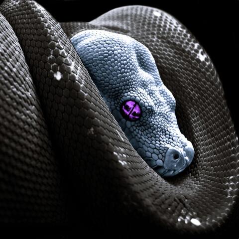 Anaconda