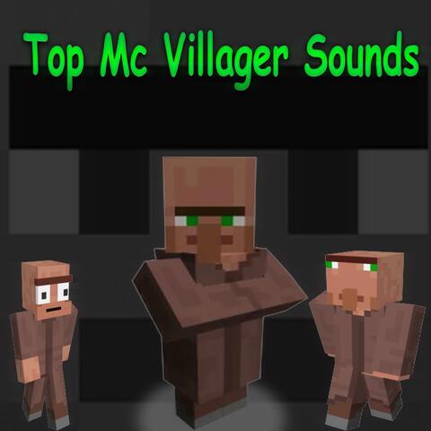 Top MC Villager Sounds