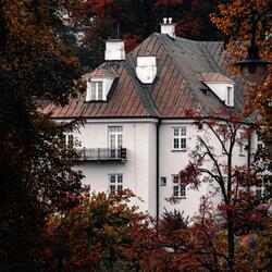 fall days