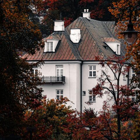fall days