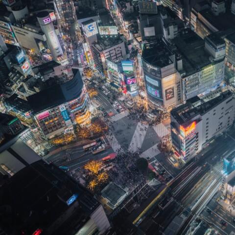 me, her, and the city