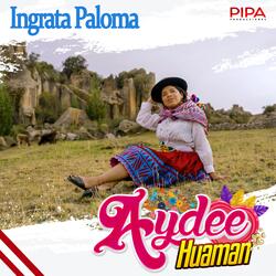 Ingrata Paloma