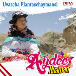 Uvascha Plantaschaymansi