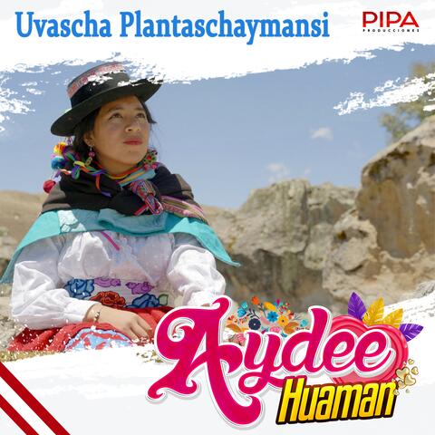 Uvascha Plantaschaymansi