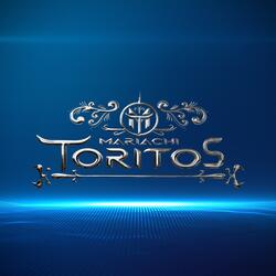 TEMA MARIACHI TORITOS