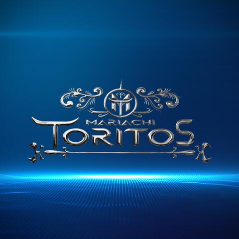 TEMA MARIACHI TORITOS