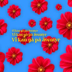 Vi kan gå på äventyr