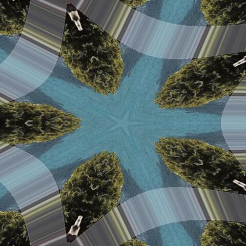 Trippy as a Lifestyle