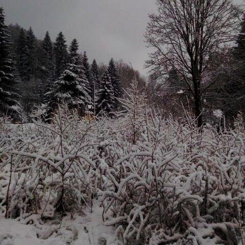 We'd Look Bad Together