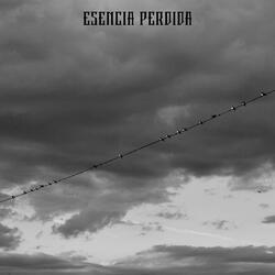 Esencia perdida