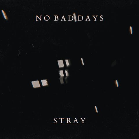 Stray