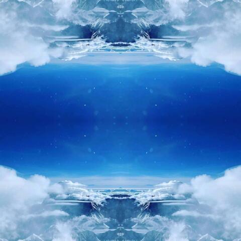Night Visions