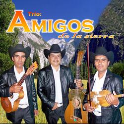 Amigos Sinceros