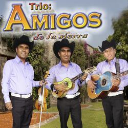 Corrido de Martincillo