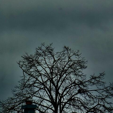 3 YEAR MASTER IKOL COLLECTION: THE LOST TAPES