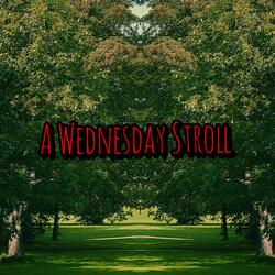 A Wednesday Stroll