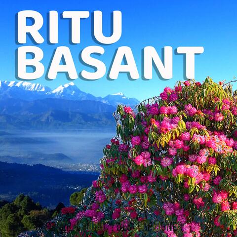 Ritu basant
