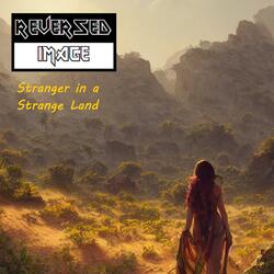 Stranger in a Strange Land