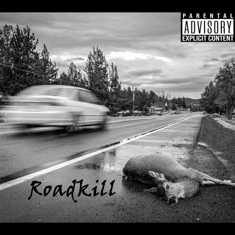 Roadkill