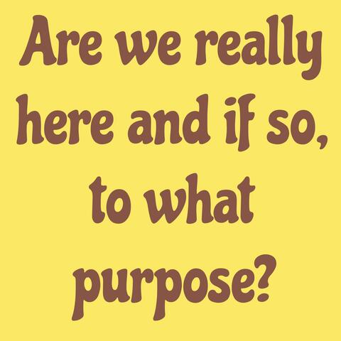 Are we really here and if so, to what purpose?