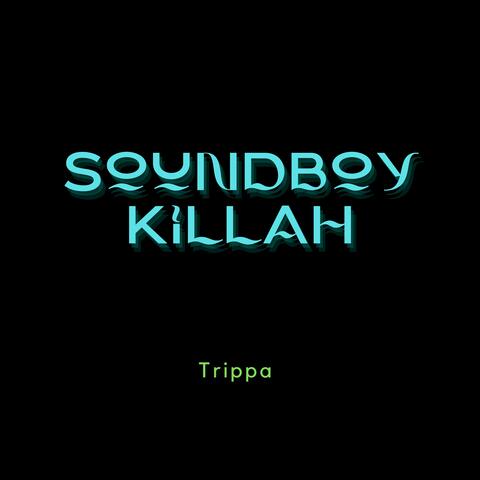 Soundboy killah